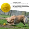 DLDER Durable Dog Ball Indestructible,Floating Dog Ball