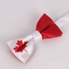 cravateSlim Canadian Flag Bow Tie - Canada Flag Maple Leaf