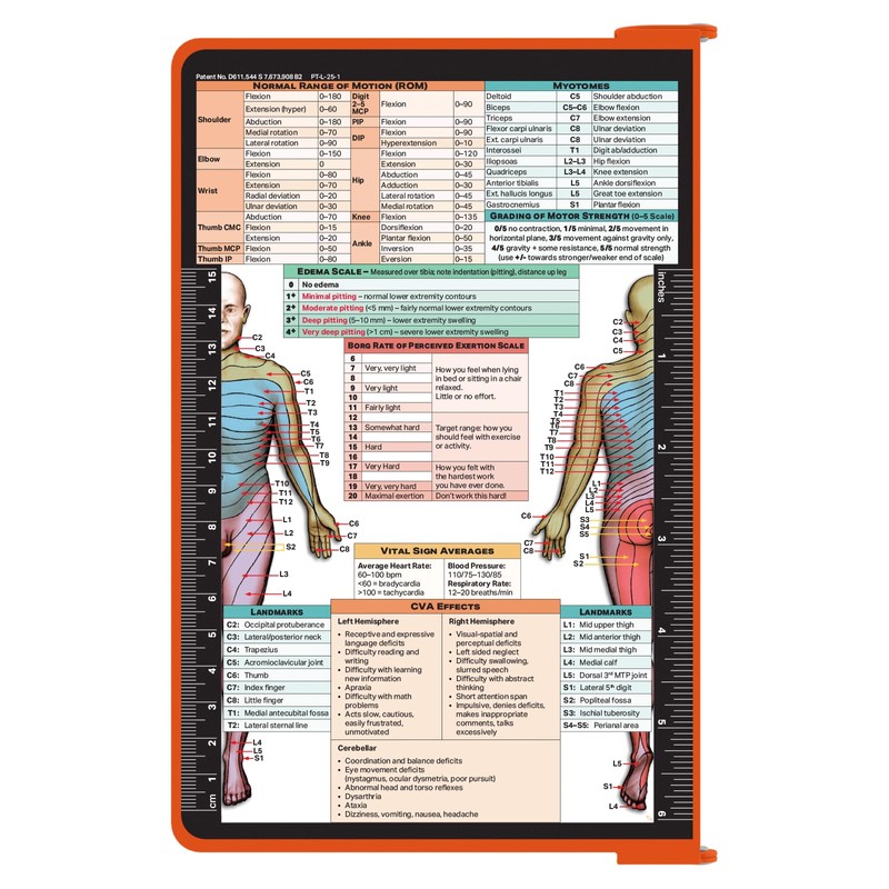 Whitecoat Clipboard® - Physical Therapy Edition (Orange, Bifold)