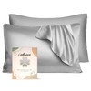 iCooBreeze Silk Pillowcases 100% Mulberry Silk Double Sided, Real Silk