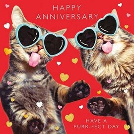 Paper Rose General Wedding Anniversary Funny Card - Cats with Sunglasses Purr-fect Day - Eco-Friendly & Recyclable - Made in the UK
