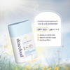 dearcloud Sunny Defense Sunscreen Stick SPF 50+ PA++++ – Korean