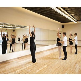 Wall-Mounted Activity Mirror with Flat Polished Edge (1, 48"x32")