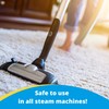 Carbona® Oxy-Powered Steam Carpet Cleaner | Professional Strength Deep Clean