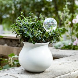 Soilagua 6.4 oz Medium Plant Self Watering Globes, Light Iridescent Glass Water Bulbs for Indoor Plants, Vacation Watering System, Plant Watering Spikes Stakes, Automatic Plant Waterer, 4 Pack