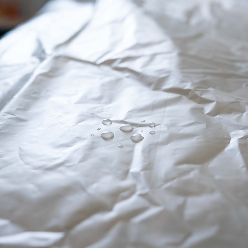 haggiy Mattress Cover - Mattress Protector