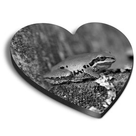 1 x Heart MDF Magnets - Cute Frogs Nature 41570
