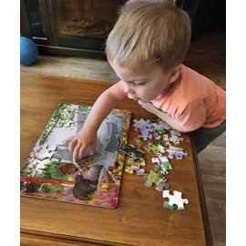 Cobble Hill Puzzle Company Ltd. 35 Piece Jigsaw Puzzle Bear Lake-Perfect for Both Older & Younger Puzzlers-Ideal for Travel-Delightful Gift Idea, Various