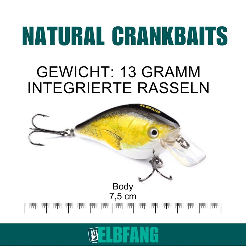 Elbfang Wobbler Set – Artificial Bait for Predatory Fish Fishing