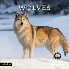 2024 2025 Wall Calendar, 18 Months July 2024 - December 2025, Wall Calendar Wolves, 12" x 24" Opened,Full Page Months Thick & Sturdy Paper for Kids Teen Calendar Organizing & Planning