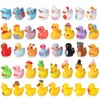 GSrenyu 40 Pcs Mini Ducks 40 Styles Tiny Resin Ducks