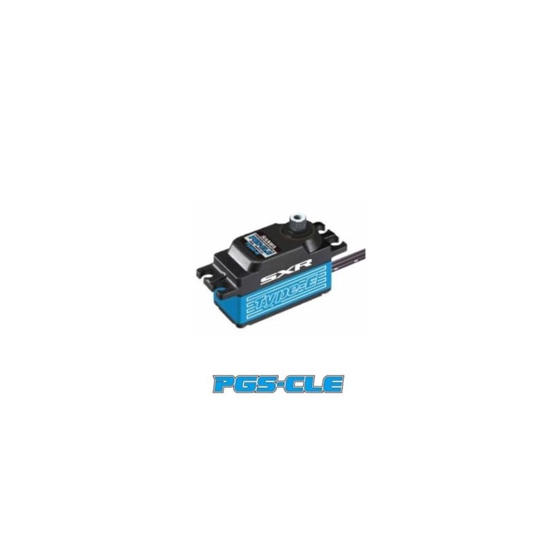 SANWA PGS-CLE Type-E Programable SSL SERVO 107A54631B