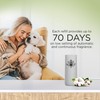 Air Wick Automatic Spray Fresh New Day, 2ct, Pet Fresh