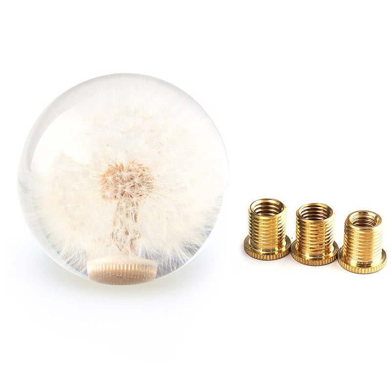 AUTENS Dandelion Flowers Manual Gear Shift Knob Ball, Universal Crystal