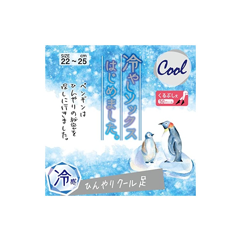 Atsugi FS5013 Women's Socks, Cheri-Beju, Sheri-Veiges