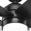 Hunter Fan Company 52491 Bardot Ceiling Fan, Matte Black