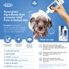 ICF | Ermidra Dog Shampoo For Itchy Skin Relief |