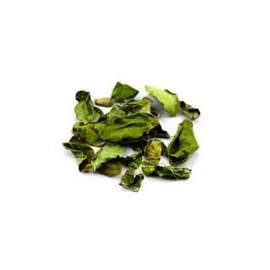 Moringa Tea Organic