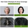 Limer Hair Dye Shampoo Natural Black Pack of 10, Root