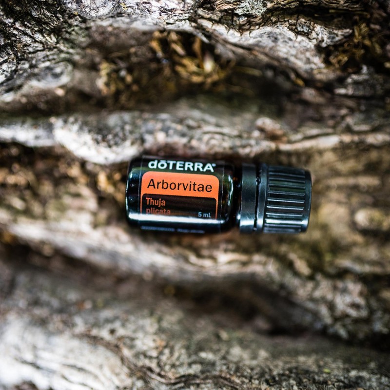 doTERRA - Arborvitae Essential Oil - 5mL