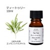 ASH Tea Tree Essential Oil 10ml Boxed Aroma Oil AEAJ
