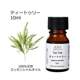 ASH Tea Tree Essential Oil 10ml Boxed Aroma Oil AEAJ Certified Essential Oil