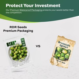 500 Brussel Sprout Seeds for Planting - Heirloom Non-GMO USA Grown - Long Island Improved Variety - Cool Weather Vegetable Seeds for Home Garden Planting by RDR Seeds