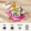 QWETCH - Thermal Container for Food with Handle - 850