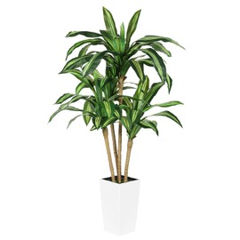 FEELEAD Artificial Dracaena Tree 5.5FT - Faux Dracaena Plant Indoor with White Planter, Fake Tropical Yucca Floor Plant in Pot - Silk Plant for Living Room Home Office Decor Indoor