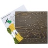 Hampton Art String Art Kit 10"X10"-Pineapple