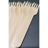 Leaf Dry 100 units Pack - ECO Disposable Wooden Forks