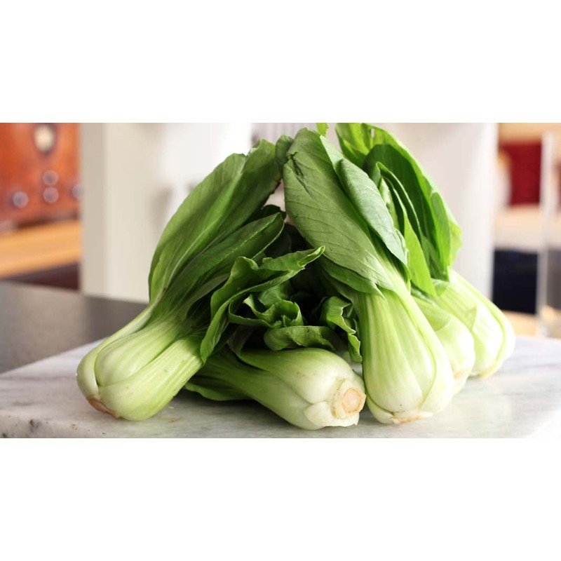 KIRA SEEDS - Seeds Chinese Cabbage Bok Choy - Heirloom