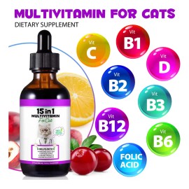 Multivitamínico 15 En 1 Para Gatos Salud Y Energía Natural