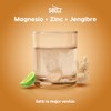 Magnesio + Zinc + Jengibre Seltz Tabletas Efervescentes