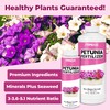 Petunia Fertilizer, Complete Liquid Petunia Plant Food, 8 oz (250mL)