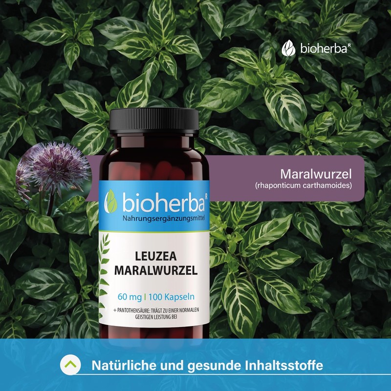 BIOHERBA Leuzea Maral Root 60 mg - 100 Capsules with