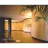 4ft x 4ft Unfinished Maple Veneer Flexible Tambour Wall Panel