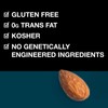 KIND Nut Snack Bars Gluten Free 12 Count Chewy with