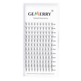 GEMERRY 6D Eyelash Extension Volume Eyelashes Ready Fan Eyelashes 0.07 D Curl 8-14 mm Mix 6D Lash Extensions Tufted Eyelashes by GEMERRY (6D-0.07-D-Mix)