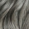 Light Gray Single Hair Color Sample