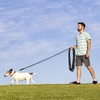 2Pcs Correas para Perros, 10m Manos Libres Correa de Adiestramiento,