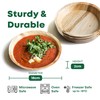 DISPOSABLE GREEN – Round Disposable Plates, Areca Leaf Serving Plates,