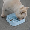 Hifrenchies Healthy Slow Feeding Dog Bowl for French Bulldog -Slow