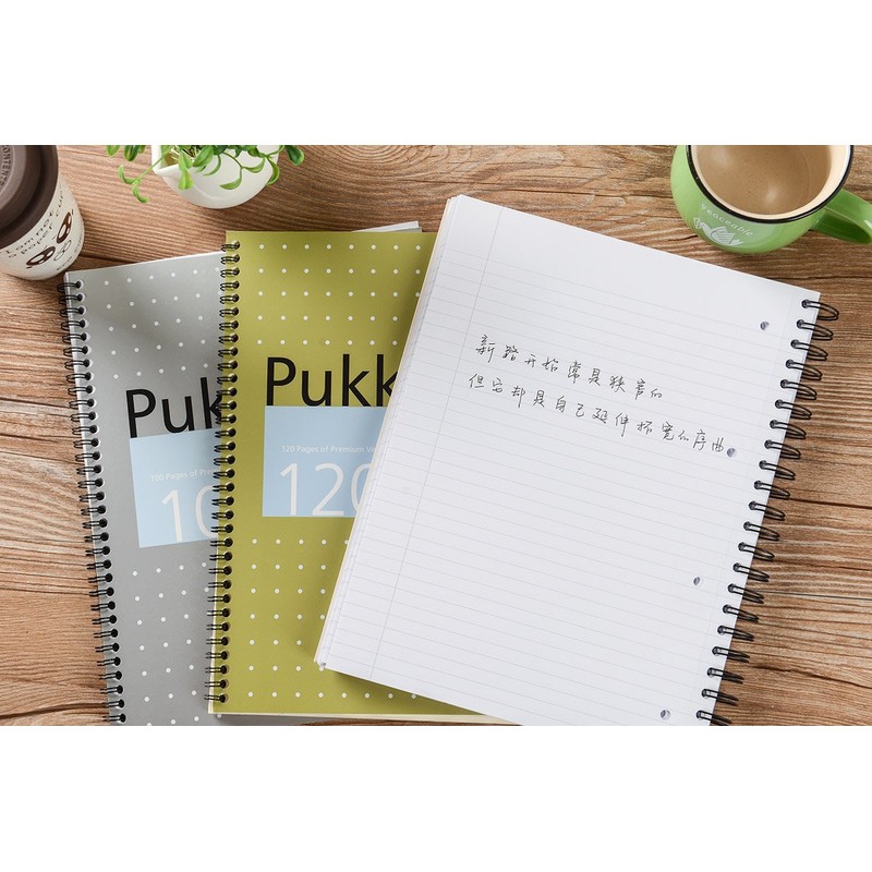 Pukka Pad vellum A4 wire bound notebook 80gsm ruled and
