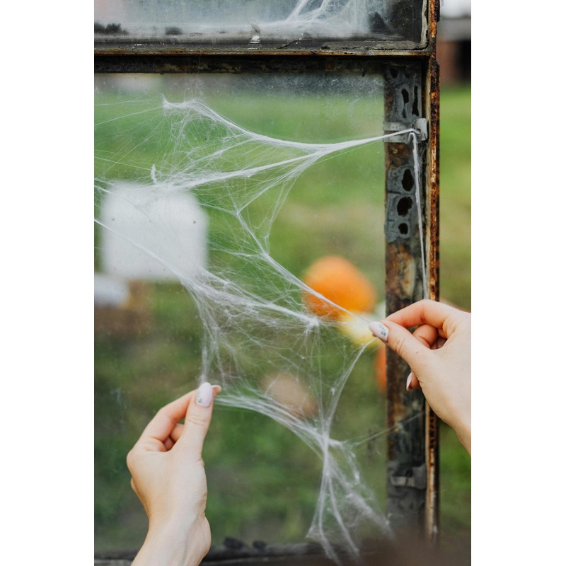 Stretchable Spider Web Halloween Decorations with Fake Spiders – Spooky