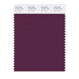 PANTONE Smart 19-2524X Color Swatch Card, Dark Purple