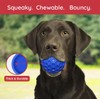DDCAN Blue Rubber Dog Ball 80mm Strong and Durable High