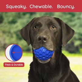 DDCAN Blue Rubber Dog Ball 80mm Strong and Durable High Rebound with Sound Easy to Clean Indoor Outdoor Use