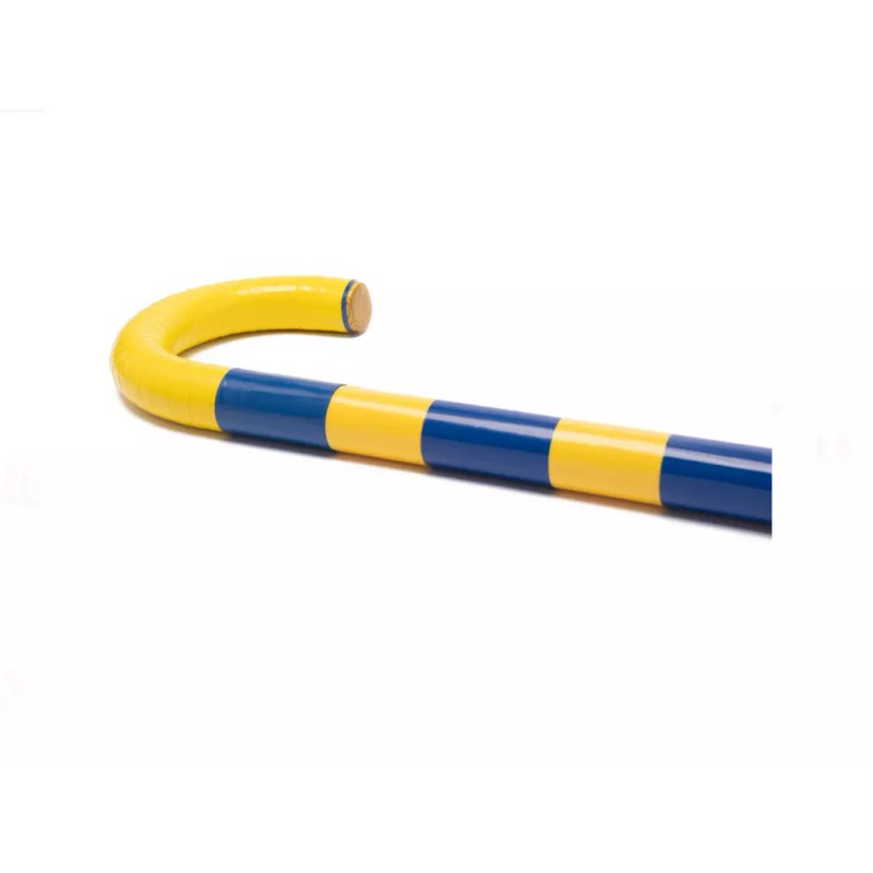 Sigma Gamma Rho Cane - Wide Block Small SGRho