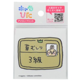 Chara Pitta CK-A-202307-mi11 Iron Print Sheet, Chiikawa, Mini 11 (Size Approx. 2.6 x 2.6 inches (65 x 65 mm))